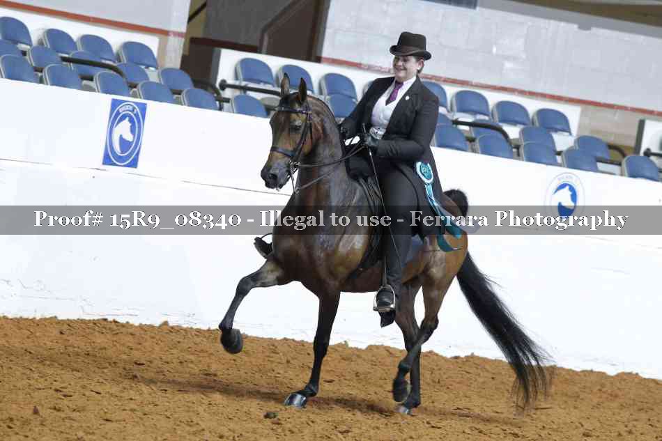 Proof Number 15R9_08340