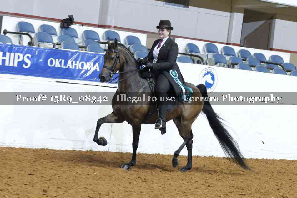 Proof Number 15R9_08342