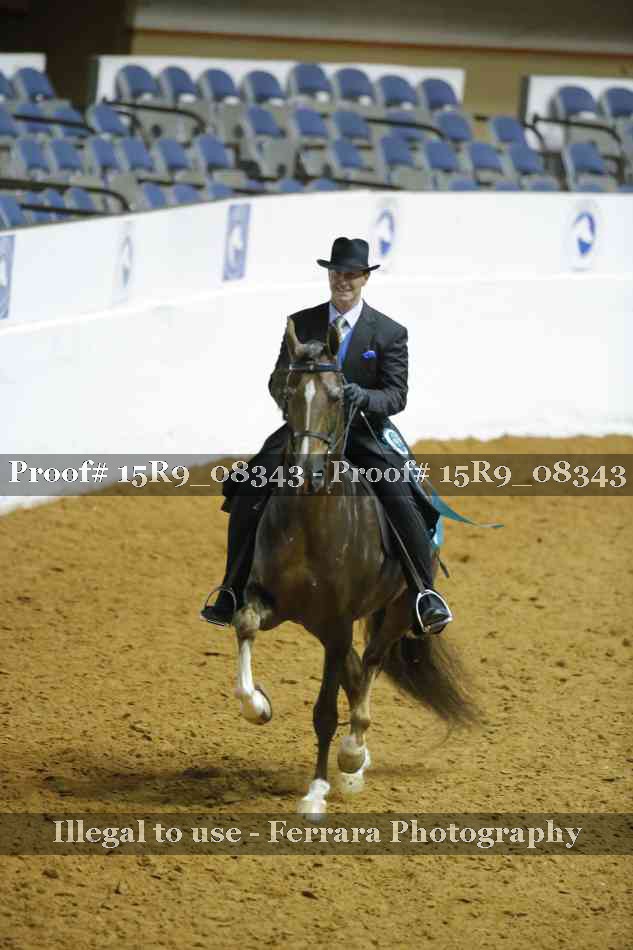 Proof Number 15R9_08343