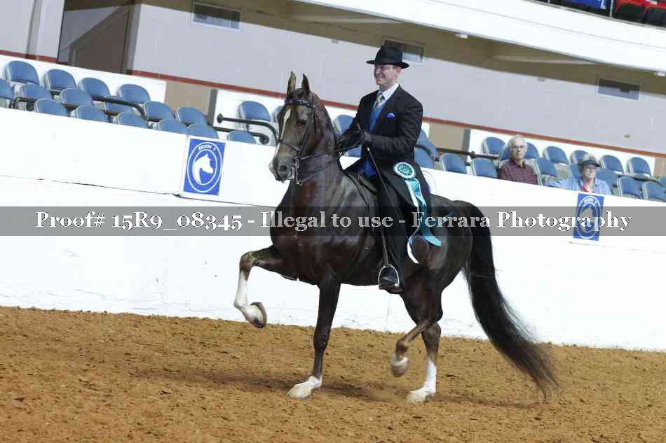 Proof Number 15R9_08345