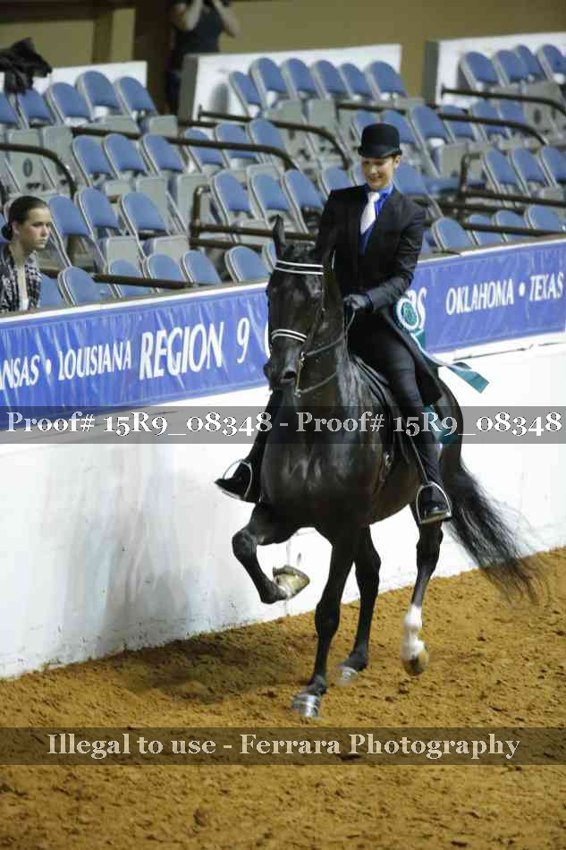 Proof Number 15R9_08348
