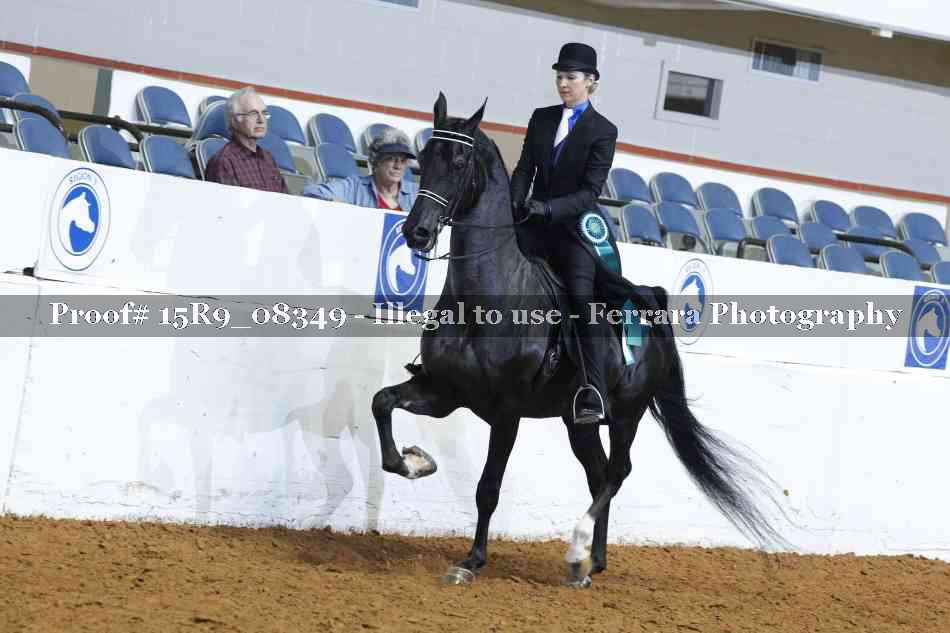 Proof Number 15R9_08349