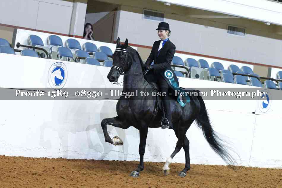 Proof Number 15R9_08350