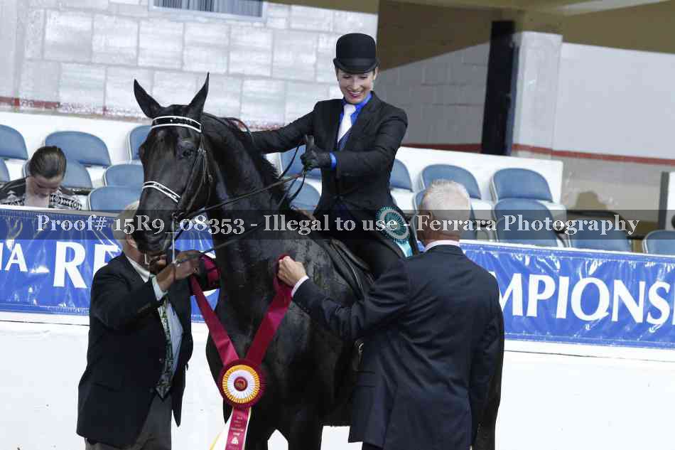 Proof Number 15R9_08353