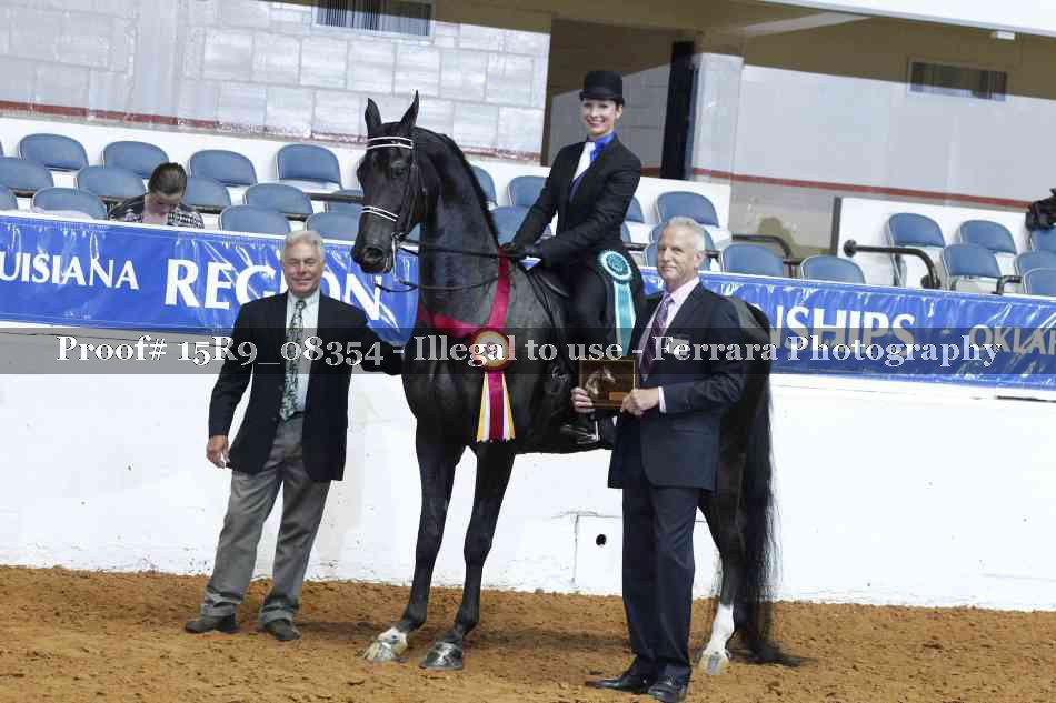 Proof Number 15R9_08354