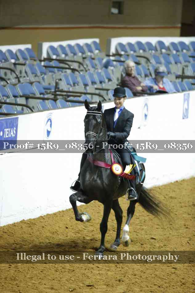 Proof Number 15R9_08356