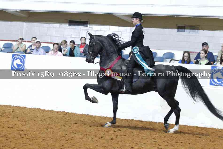 Proof Number 15R9_08362