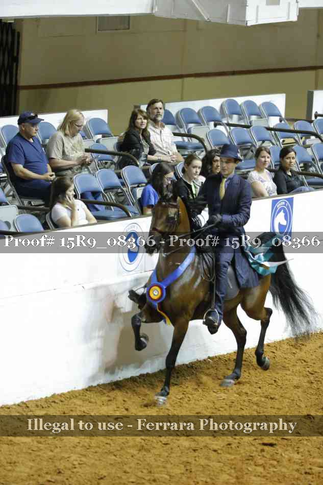Proof Number 15R9_08366