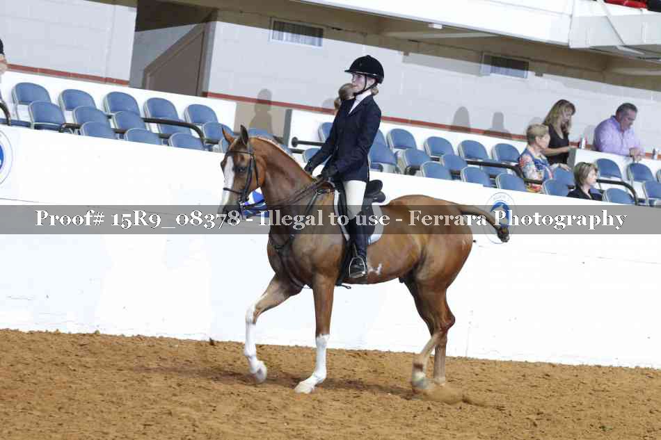 Proof Number 15R9_08378