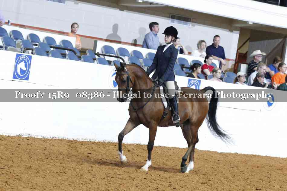 Proof Number 15R9_08386