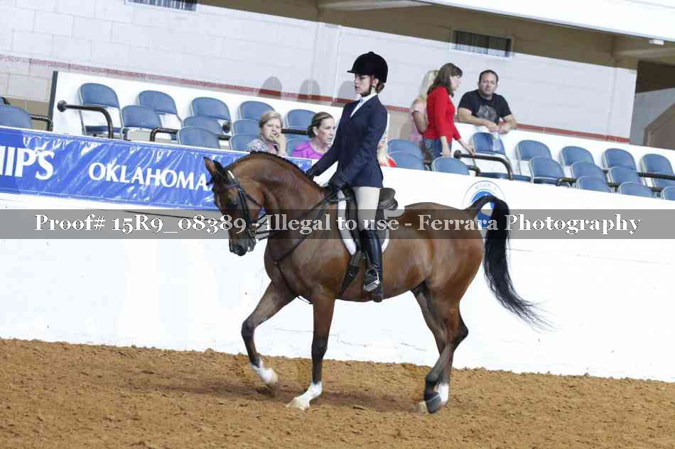 Proof Number 15R9_08389