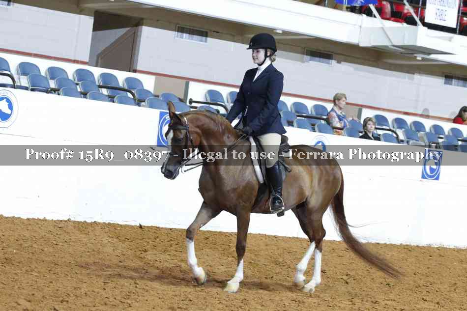 Proof Number 15R9_08397