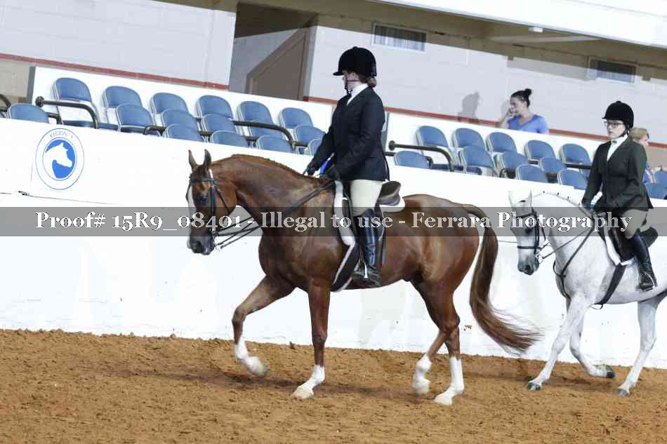 Proof Number 15R9_08401