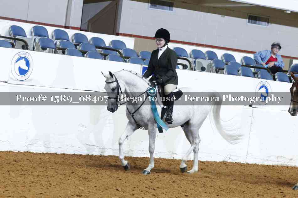 Proof Number 15R9_08407