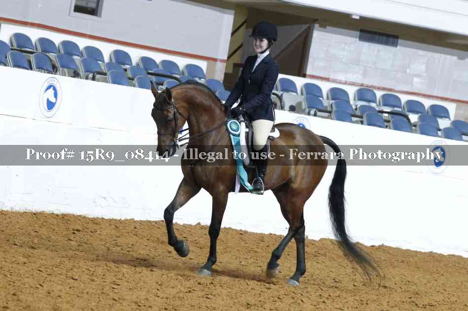 Proof Number 15R9_08414