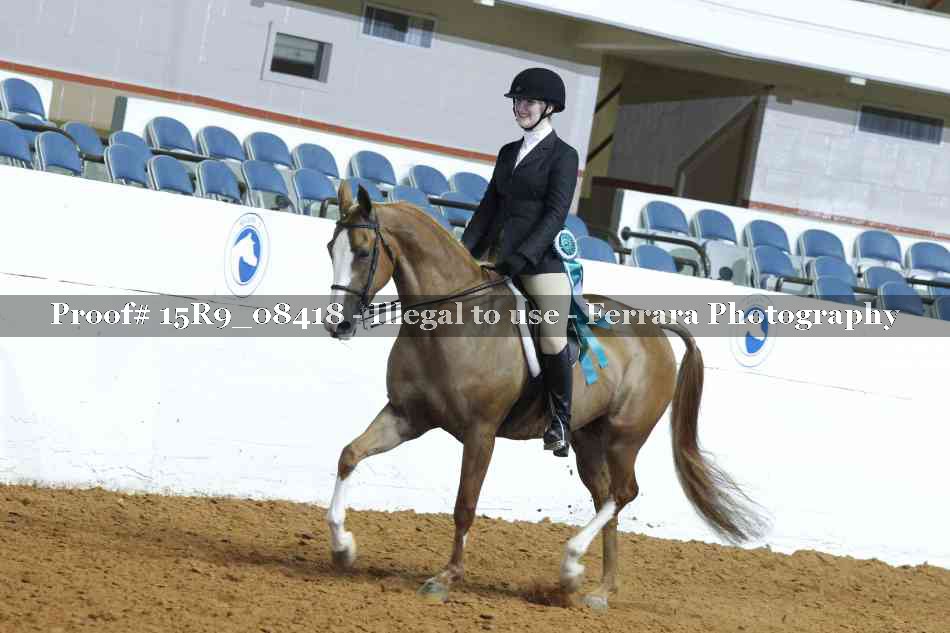Proof Number 15R9_08418