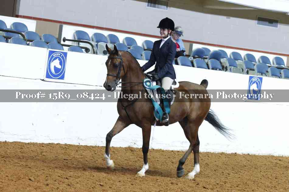 Proof Number 15R9_08424