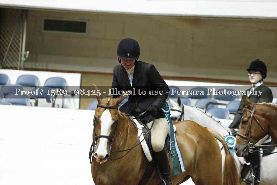 Proof Number 15R9_08425