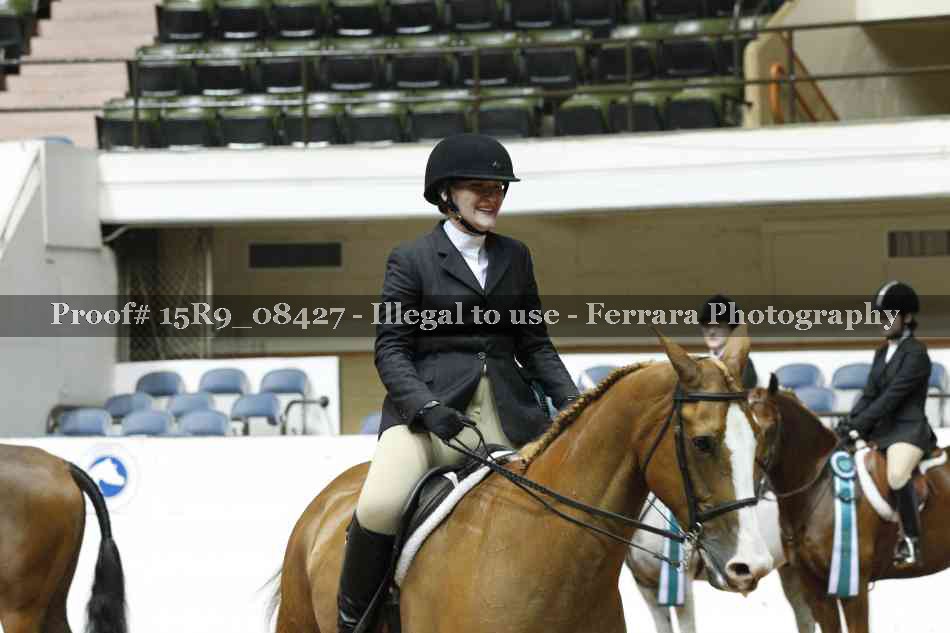 Proof Number 15R9_08427
