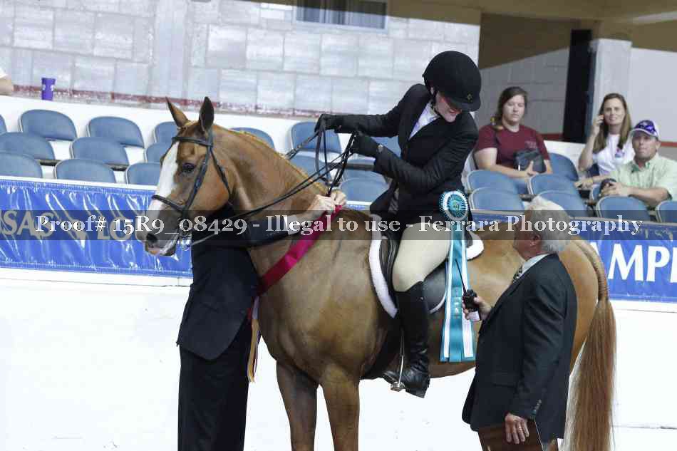 Proof Number 15R9_08429