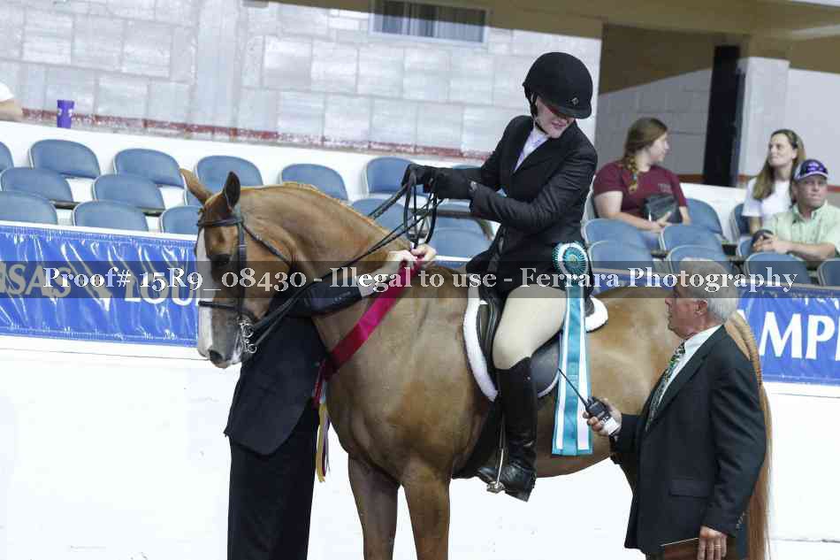 Proof Number 15R9_08430