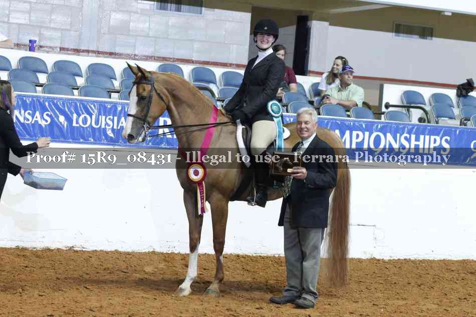 Proof Number 15R9_08431
