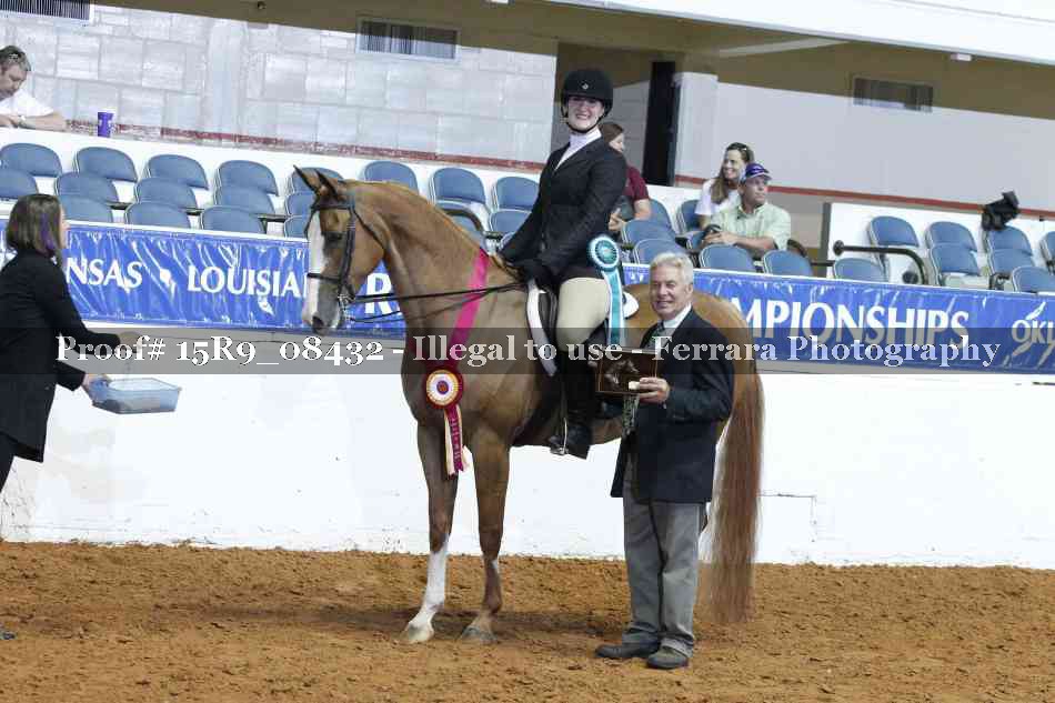 Proof Number 15R9_08432