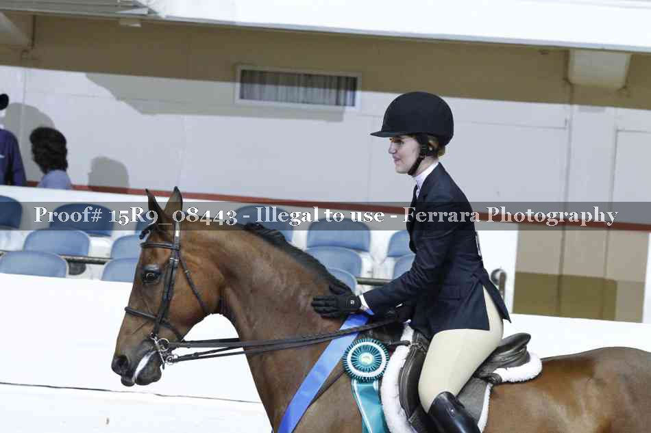 Proof Number 15R9_08443