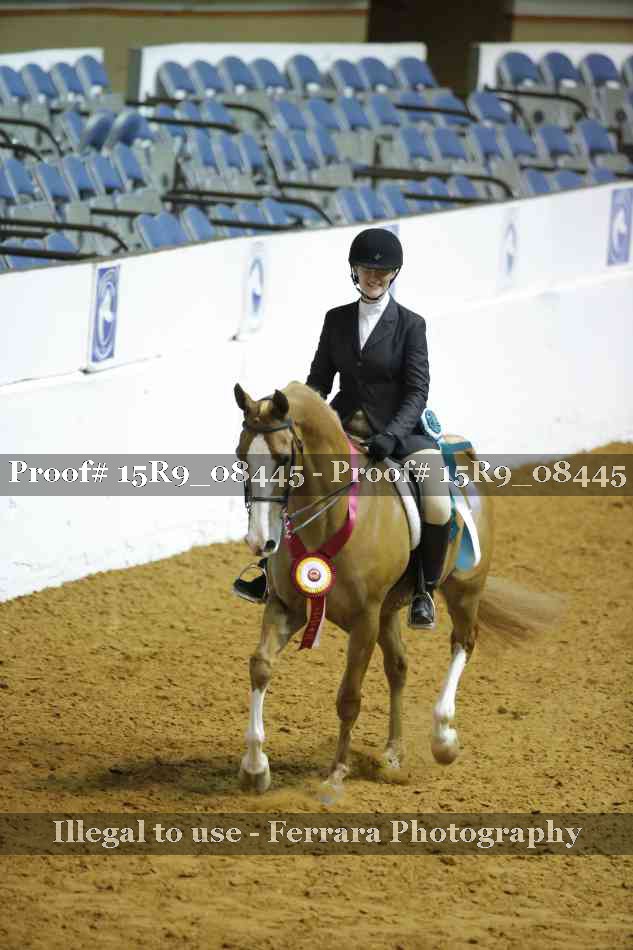 Proof Number 15R9_08445