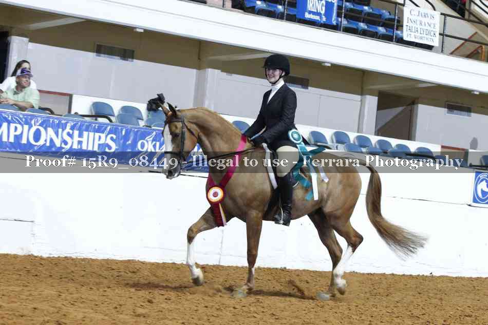 Proof Number 15R9_08449