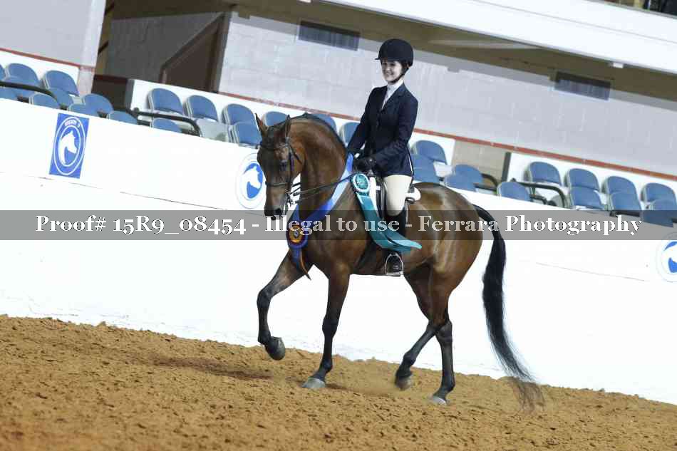 Proof Number 15R9_08454
