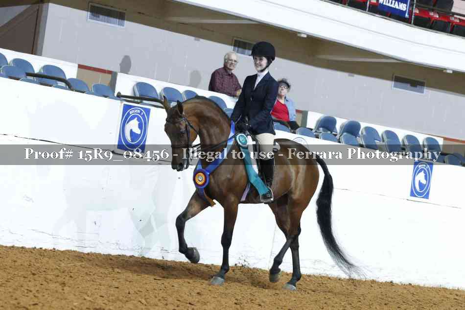 Proof Number 15R9_08456