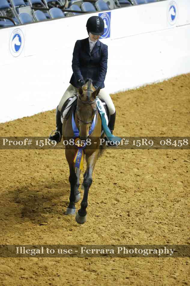 Proof Number 15R9_08458
