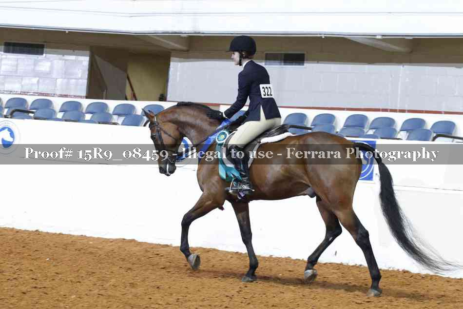 Proof Number 15R9_08459