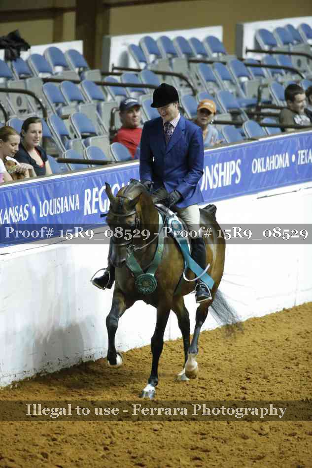 Proof Number 15R9_08529