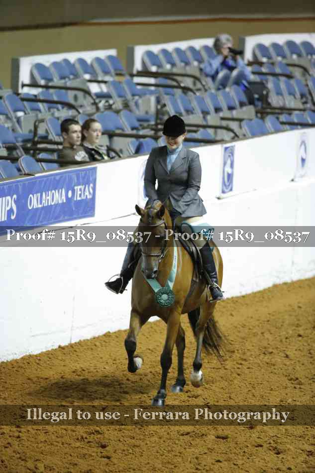 Proof Number 15R9_08537
