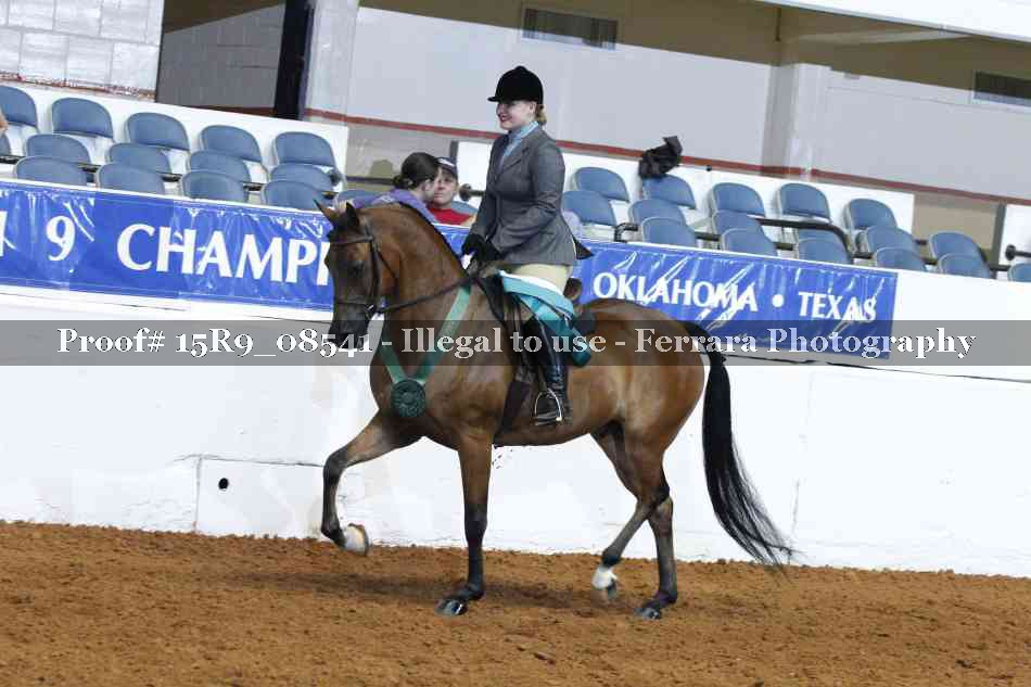 Proof Number 15R9_08541