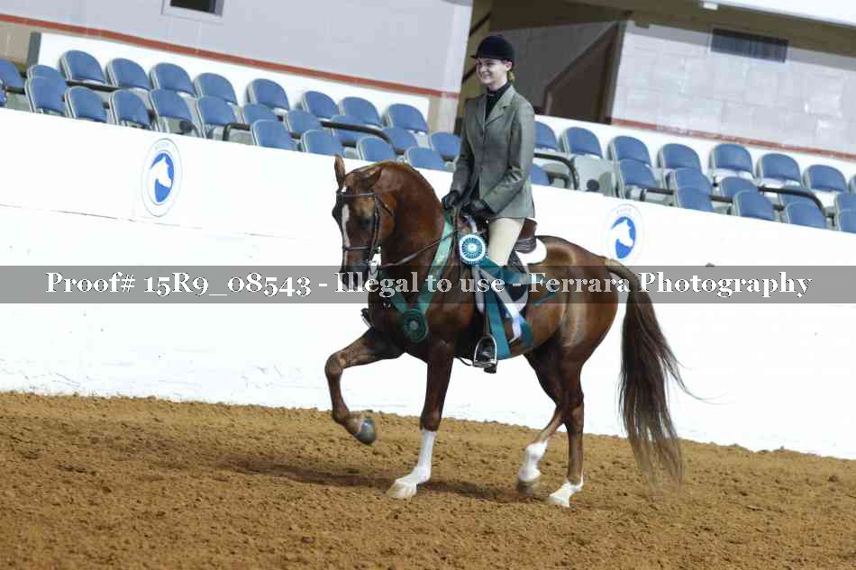 Proof Number 15R9_08543