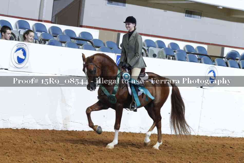 Proof Number 15R9_08544