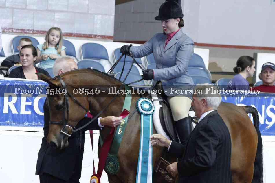 Proof Number 15R9_08546
