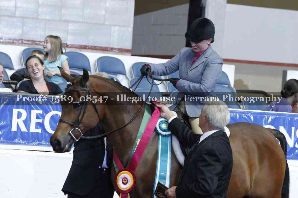 Proof Number 15R9_08547