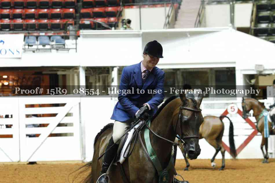 Proof Number 15R9_08554