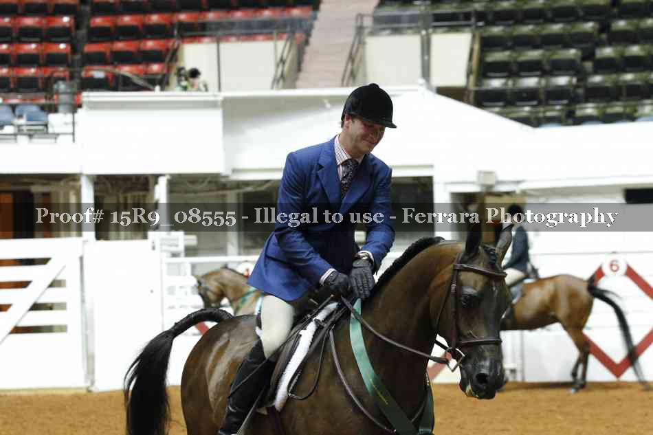 Proof Number 15R9_08555
