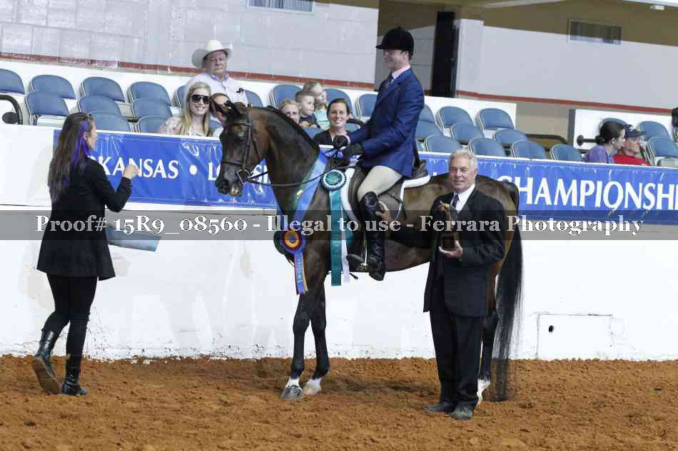 Proof Number 15R9_08560