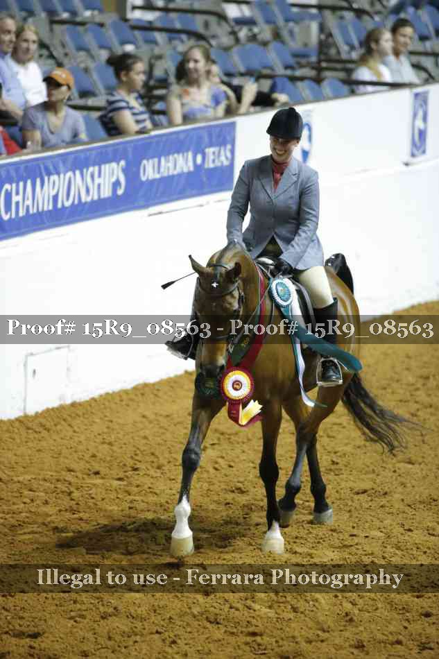 Proof Number 15R9_08563