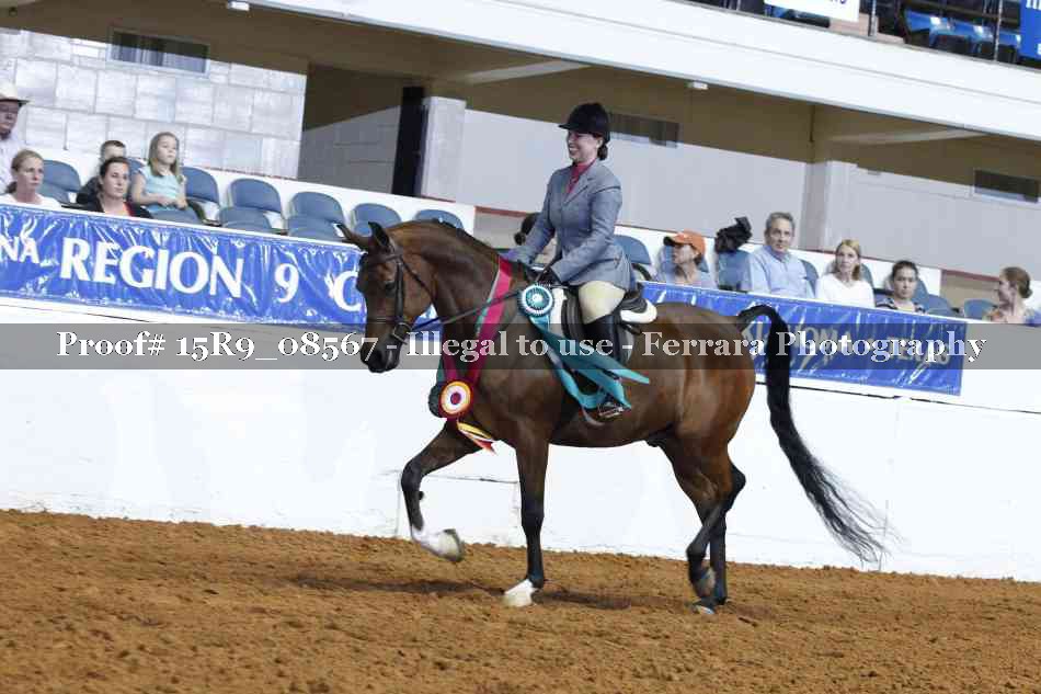 Proof Number 15R9_08567