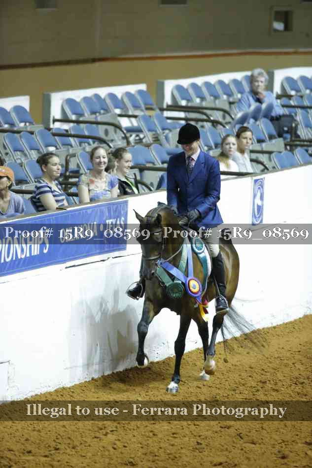 Proof Number 15R9_08569