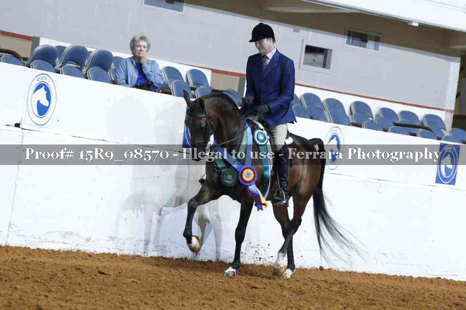 Proof Number 15R9_08570