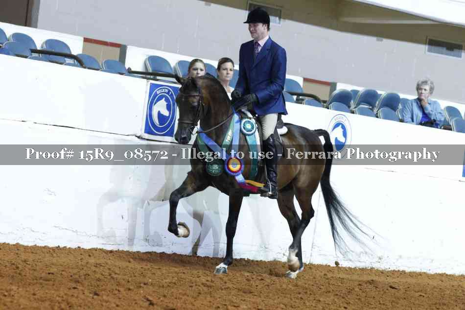 Proof Number 15R9_08572