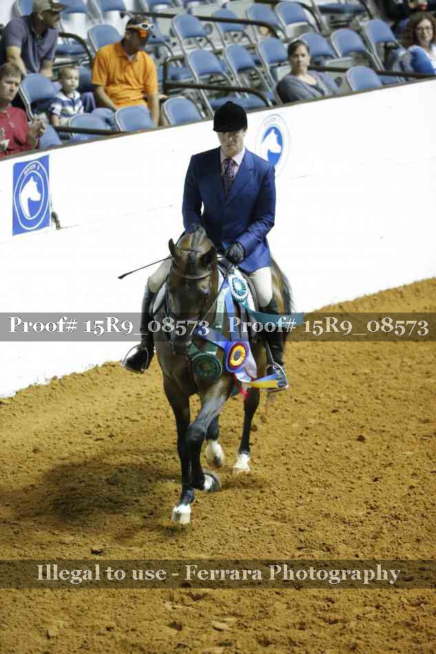 Proof Number 15R9_08573